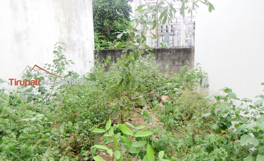15 Anks South Facing #ReadyforConstruction #PlotforSale in Kanakabhushanam Layout, #Tirupati